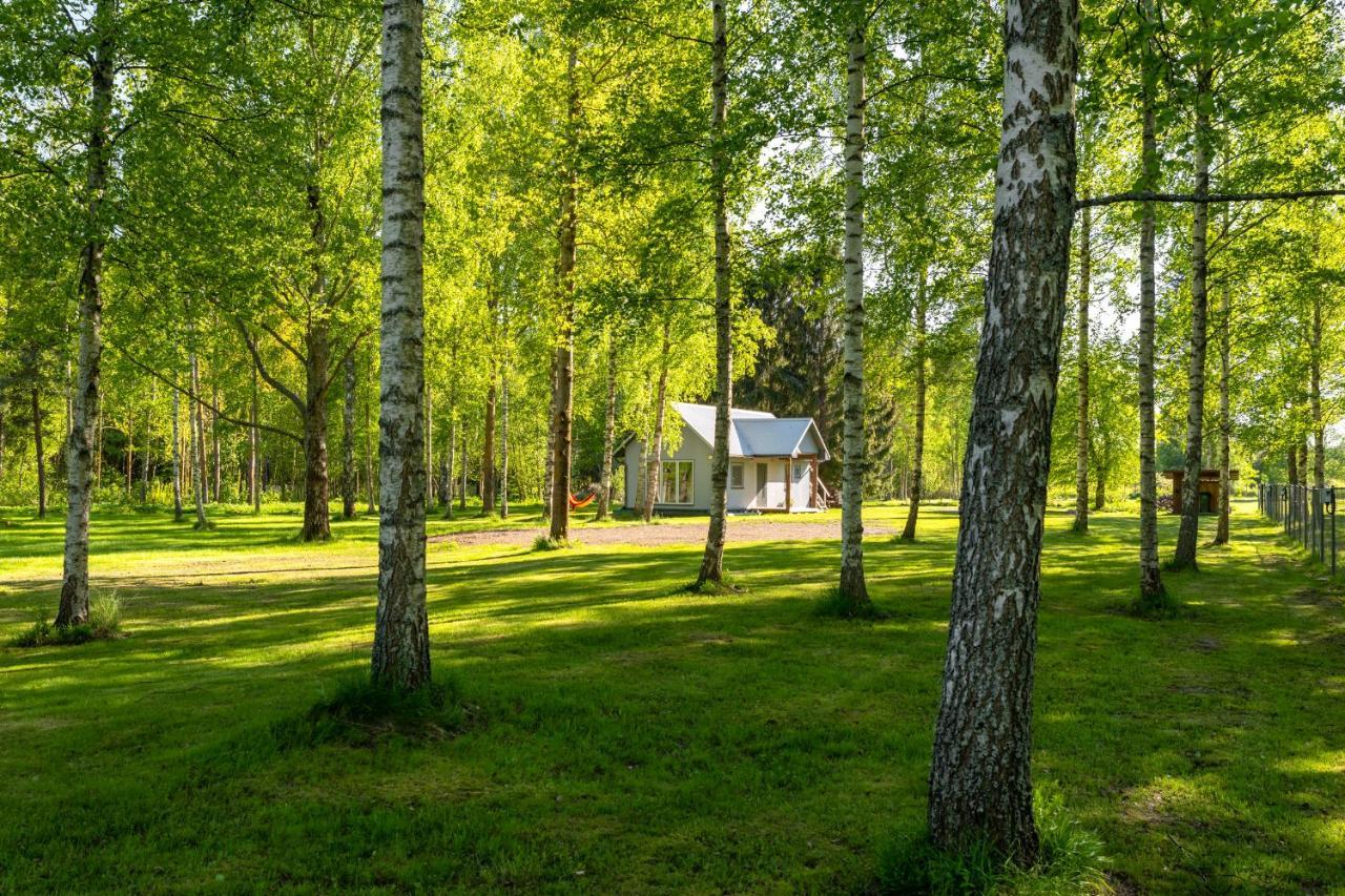 Peipsi Caravani Puhkemaja Hotel Nina Eksteriør billede